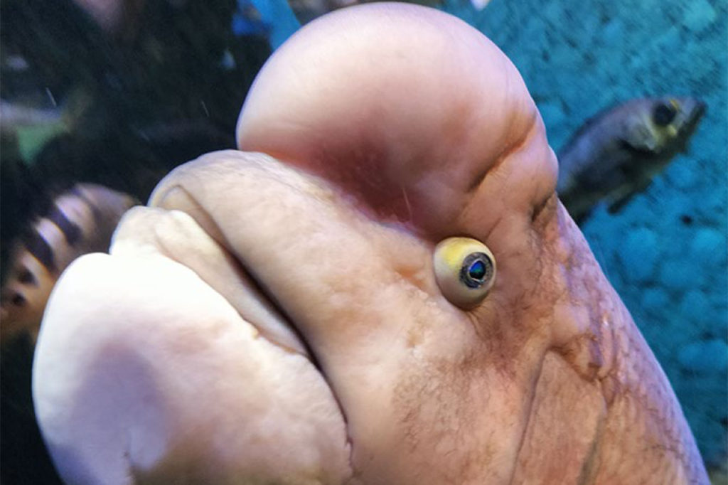 新潟市水族館マリンピア日本海にて「第8回マリンピア日本海 フォト